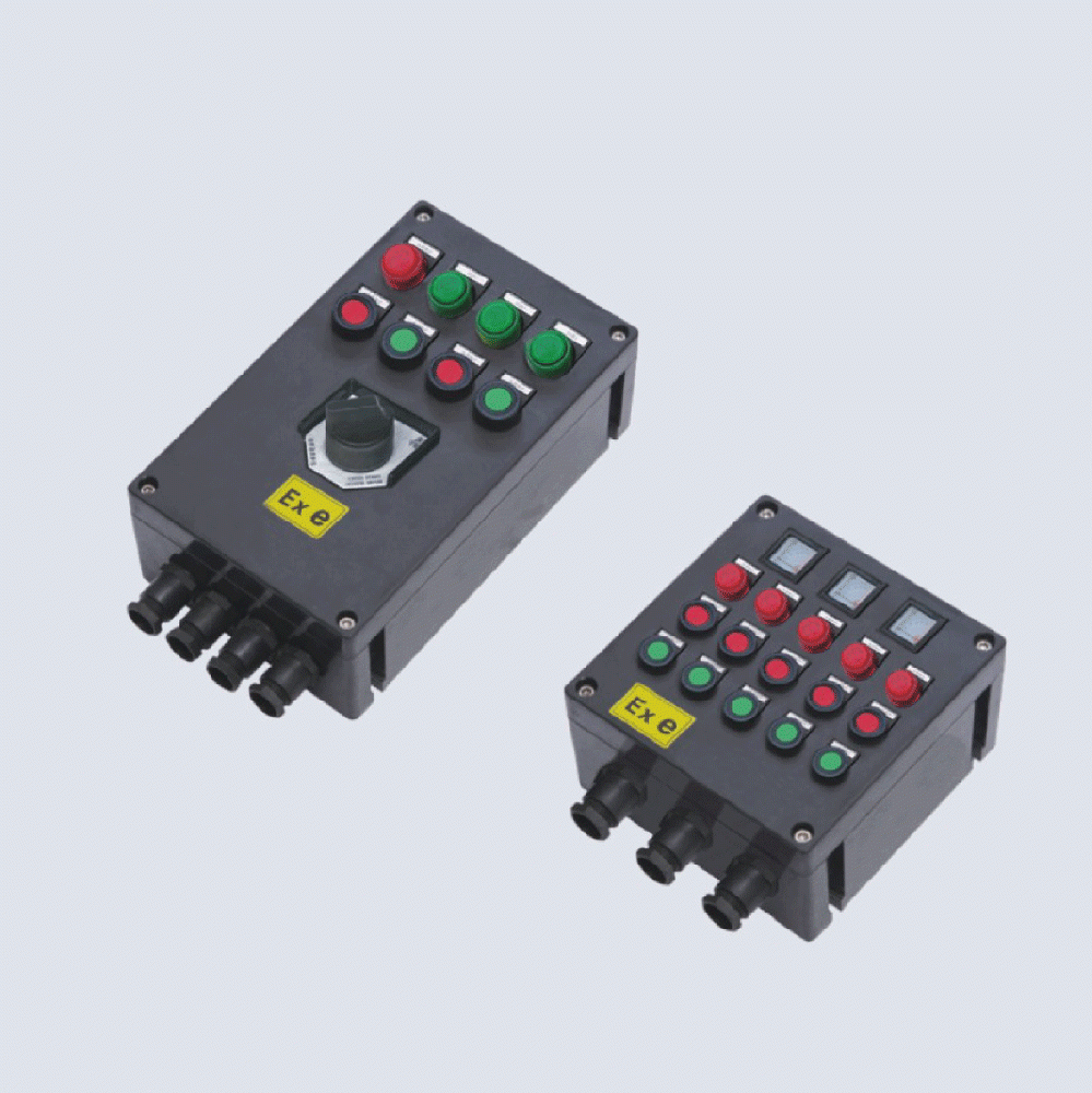 BXK8050-系列防爆防腐控制箱(IIC、 ExtD)
